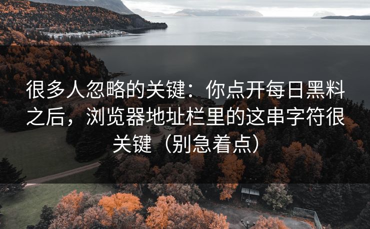 很多人忽略的关键：你点开每日黑料之后，浏览器地址栏里的这串字符很关键（别急着点）